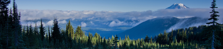 Home Mountain Valley Real Estate